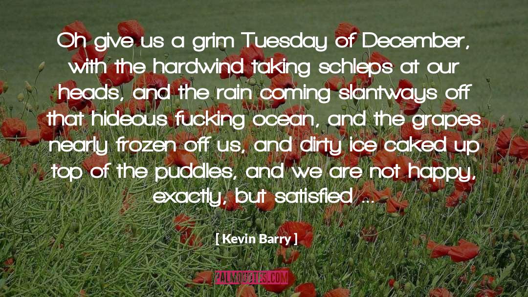 Not Happy quotes by Kevin Barry