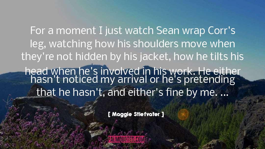 Not Hidden quotes by Maggie Stiefvater