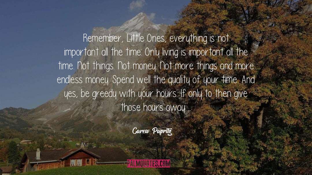 Not Important quotes by Carew Papritz