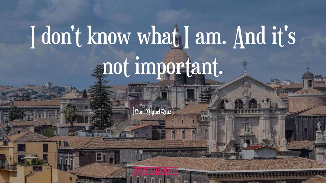 Not Important quotes by Don Miguel Ruiz