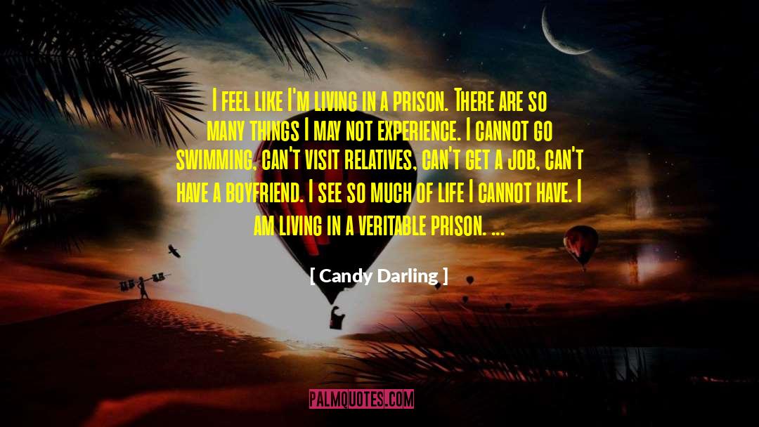 Not In A Book quotes by Candy Darling