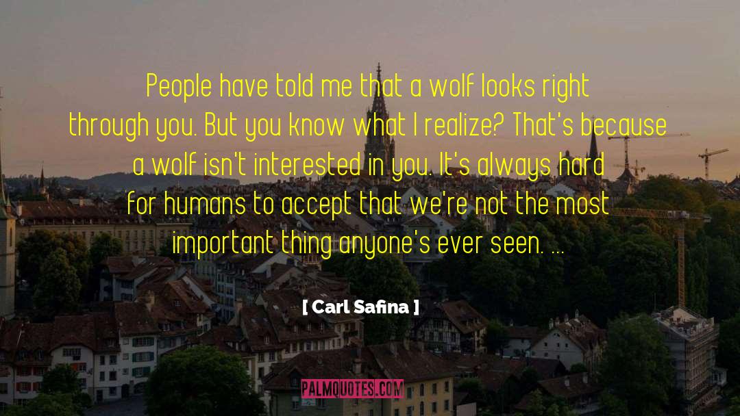 Not Interested In You Anymore quotes by Carl Safina