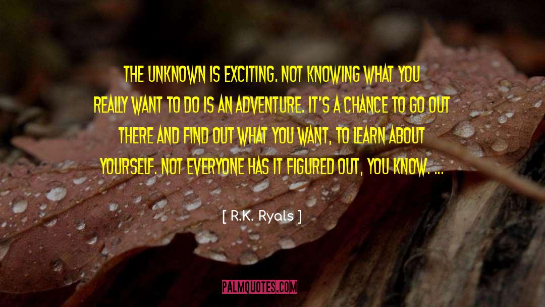 Not Knowing Is Not An Excuse quotes by R.K. Ryals