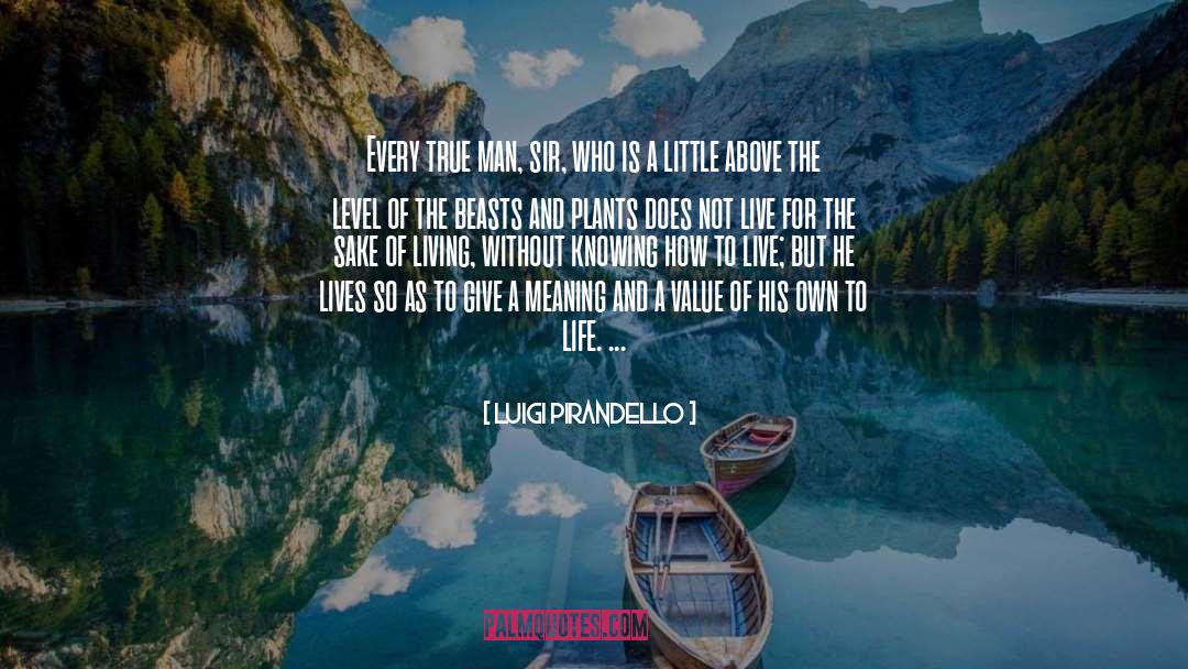 Not Knowing Life Purpose quotes by Luigi Pirandello