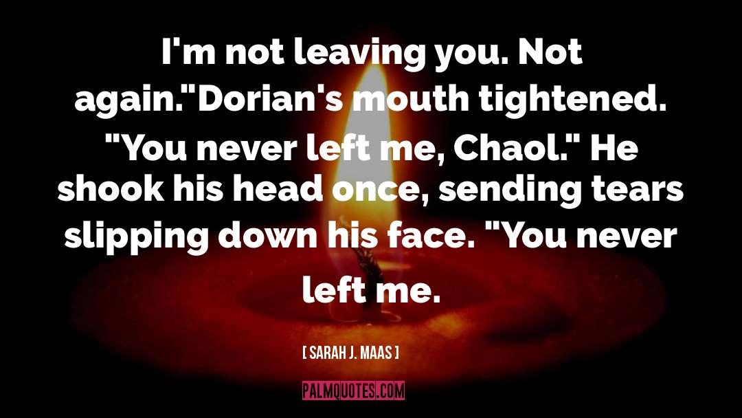 Not Leaving You quotes by Sarah J. Maas