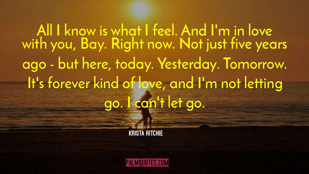 Not Letting Go quotes by Krista Ritchie