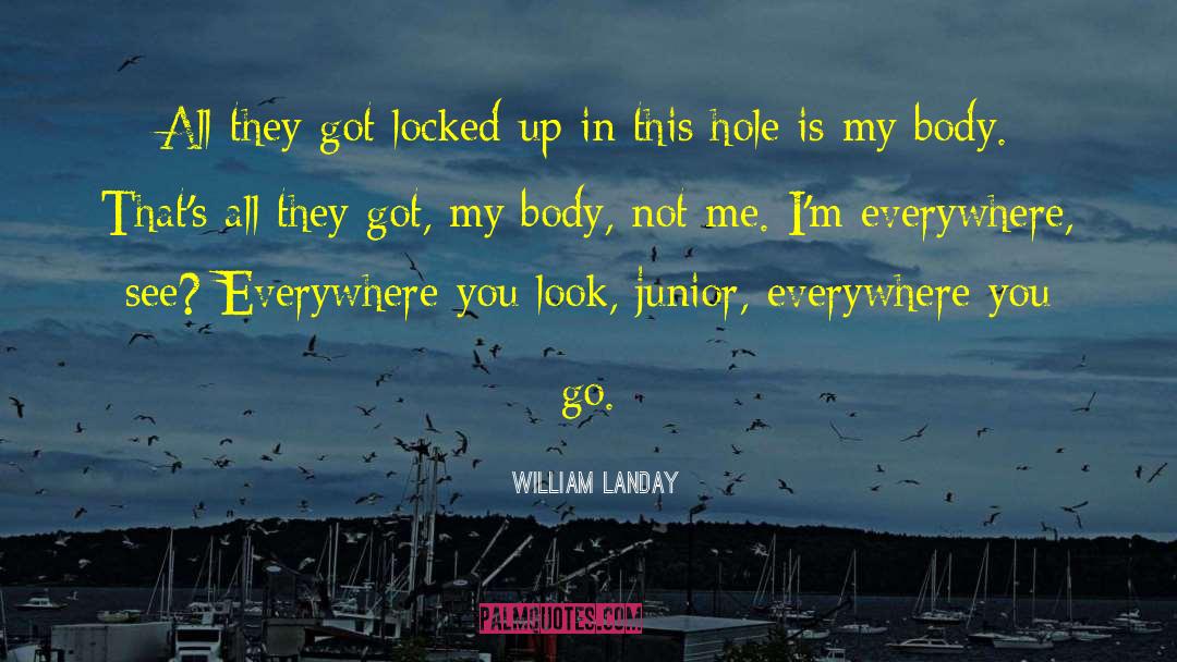 Not Me quotes by William Landay