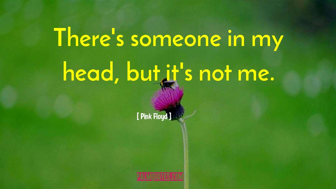 Not Me quotes by Pink Floyd