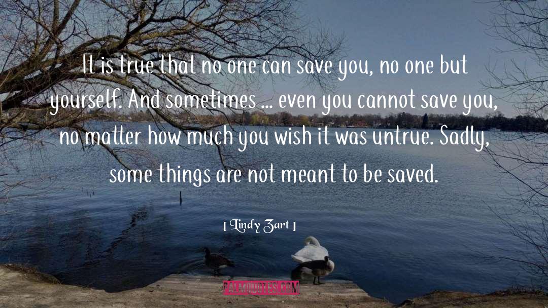 Not Meant To Be quotes by Lindy Zart