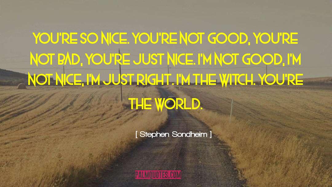 Not Nice quotes by Stephen Sondheim