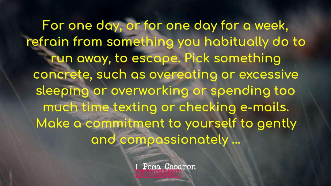 Not Overworking quotes by Pema Chodron