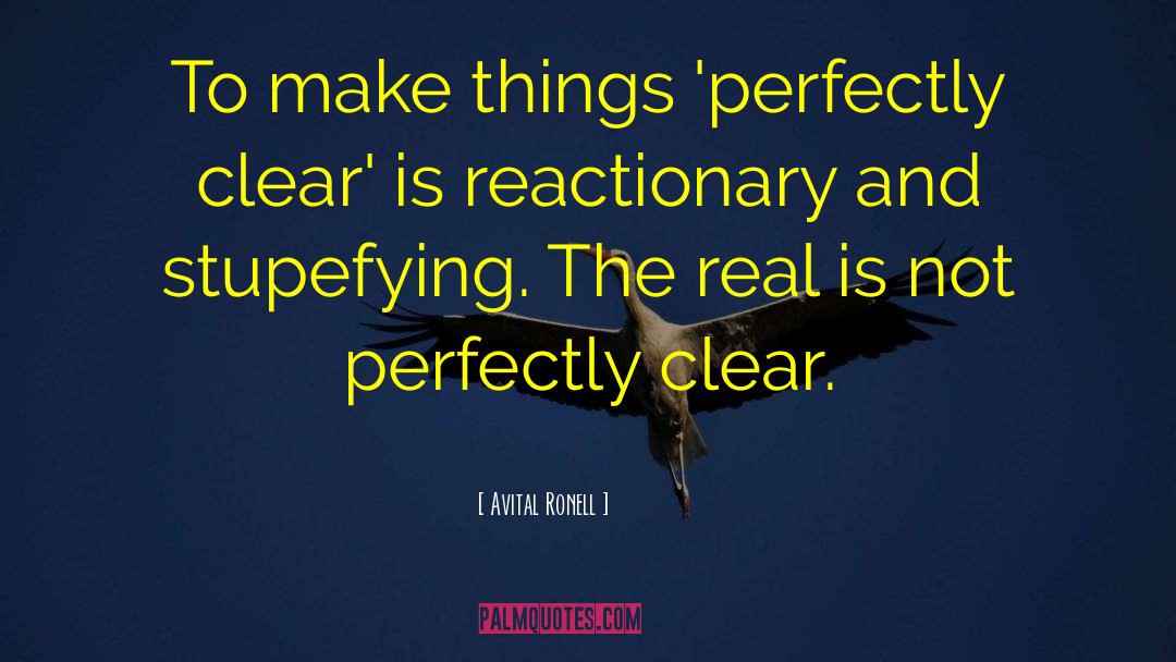 Not Perfect quotes by Avital Ronell