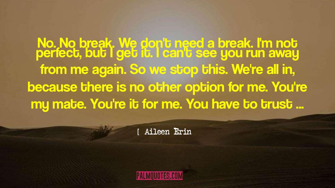 Not Perfect quotes by Aileen Erin