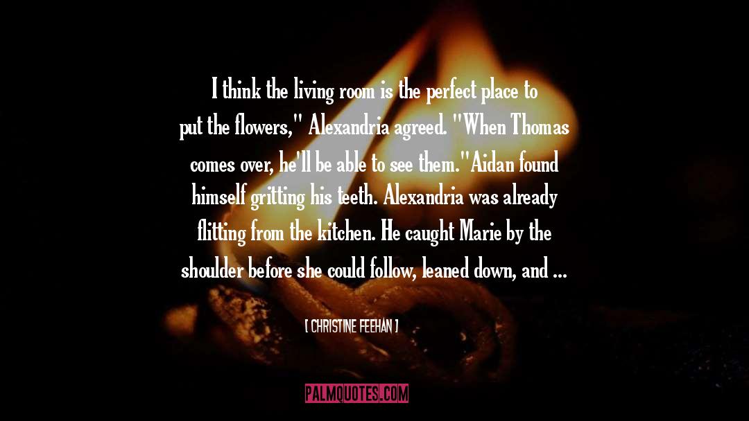 Not Perfect Woman quotes by Christine Feehan