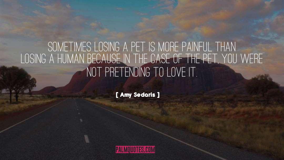 Not Pretending quotes by Amy Sedaris