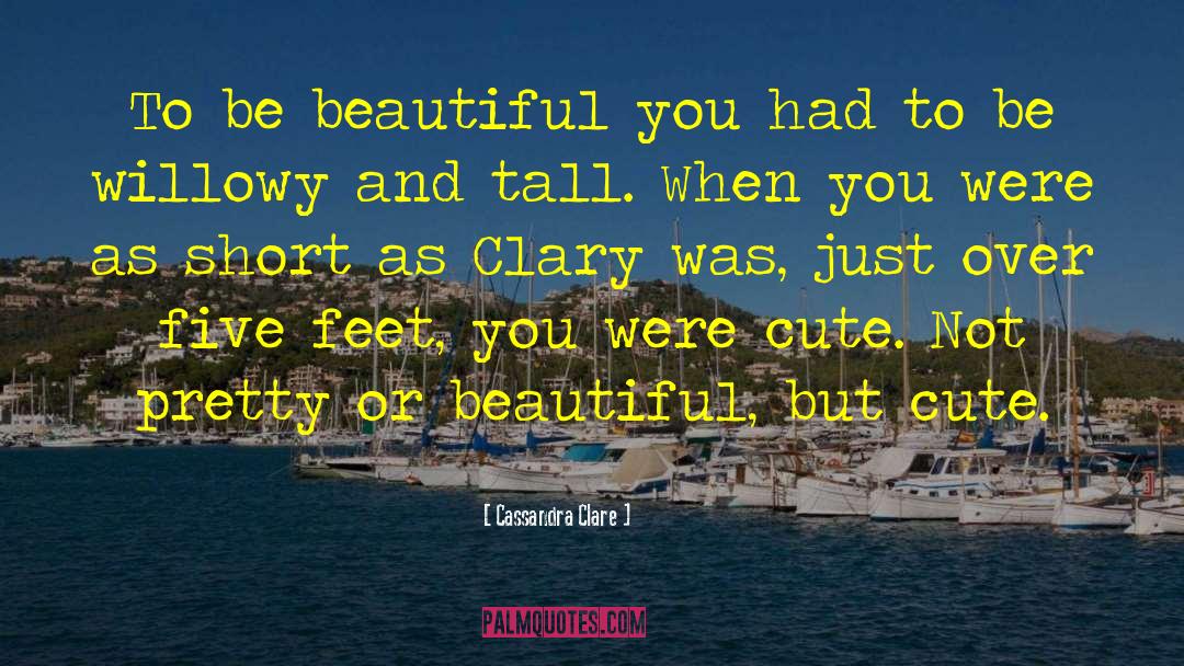 Not Pretty quotes by Cassandra Clare