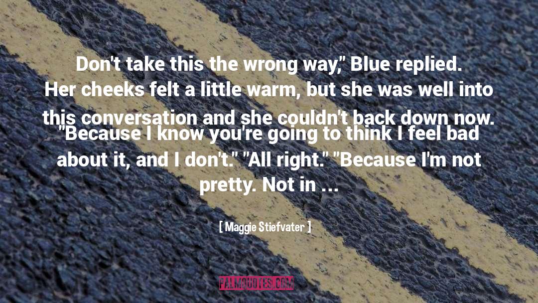 Not Pretty quotes by Maggie Stiefvater