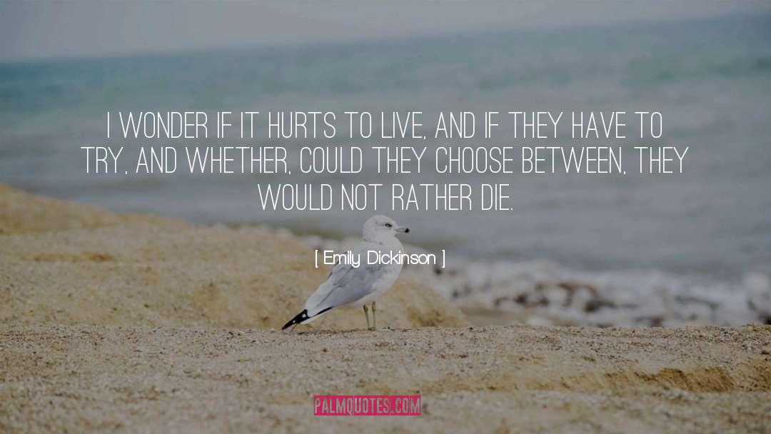 Not Rather quotes by Emily Dickinson