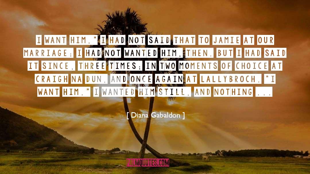 Not Said quotes by Diana Gabaldon