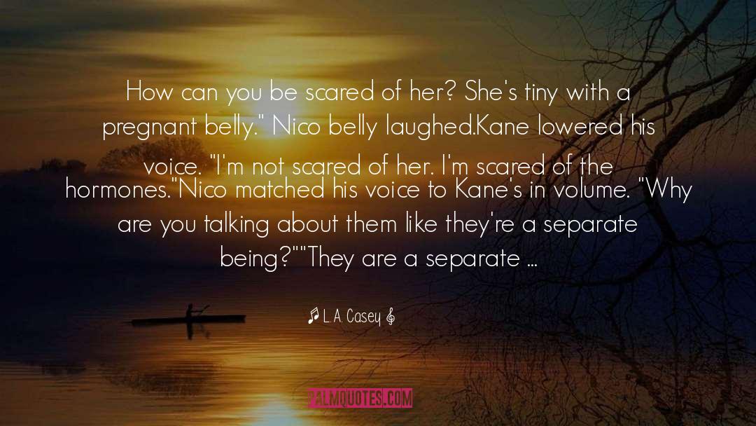 Not Scared quotes by L.A. Casey