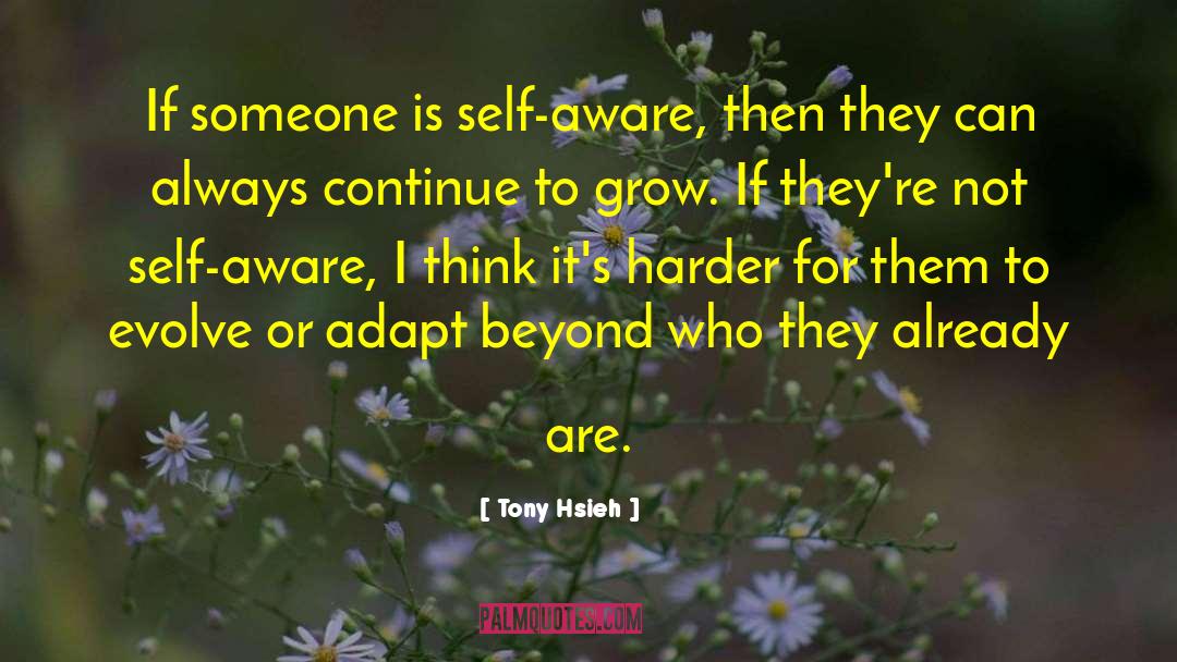 Not Self quotes by Tony Hsieh