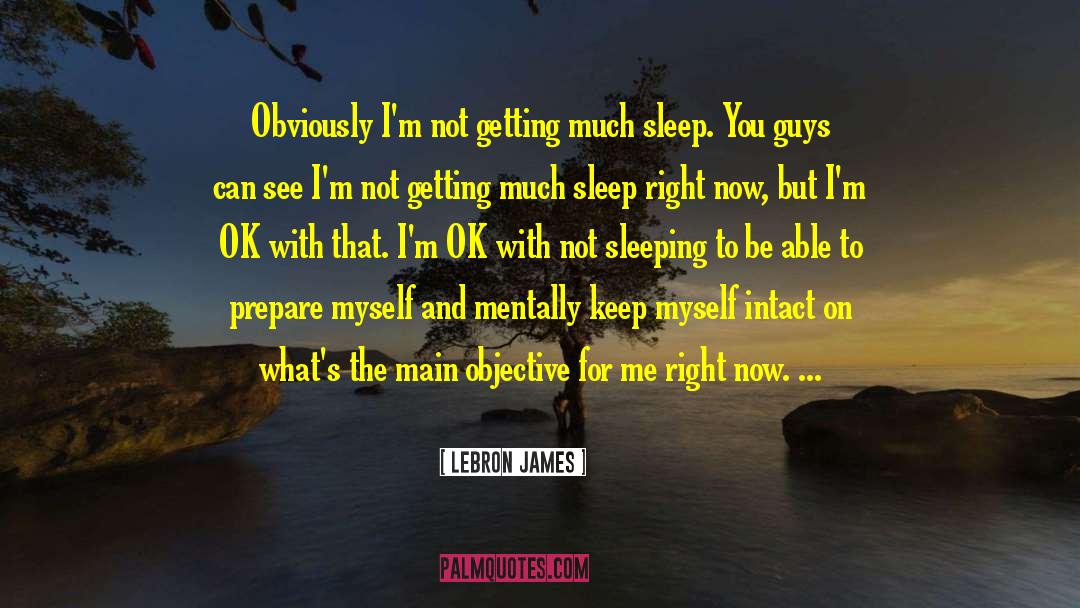 Not Sleeping quotes by LeBron James