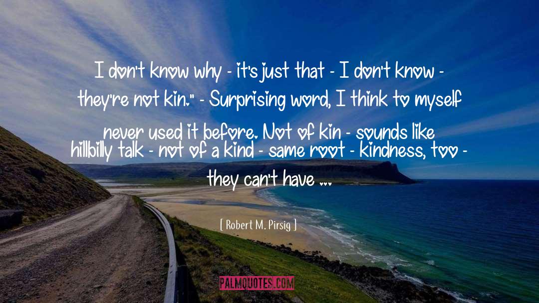 Not That Kind Of Girl quotes by Robert M. Pirsig