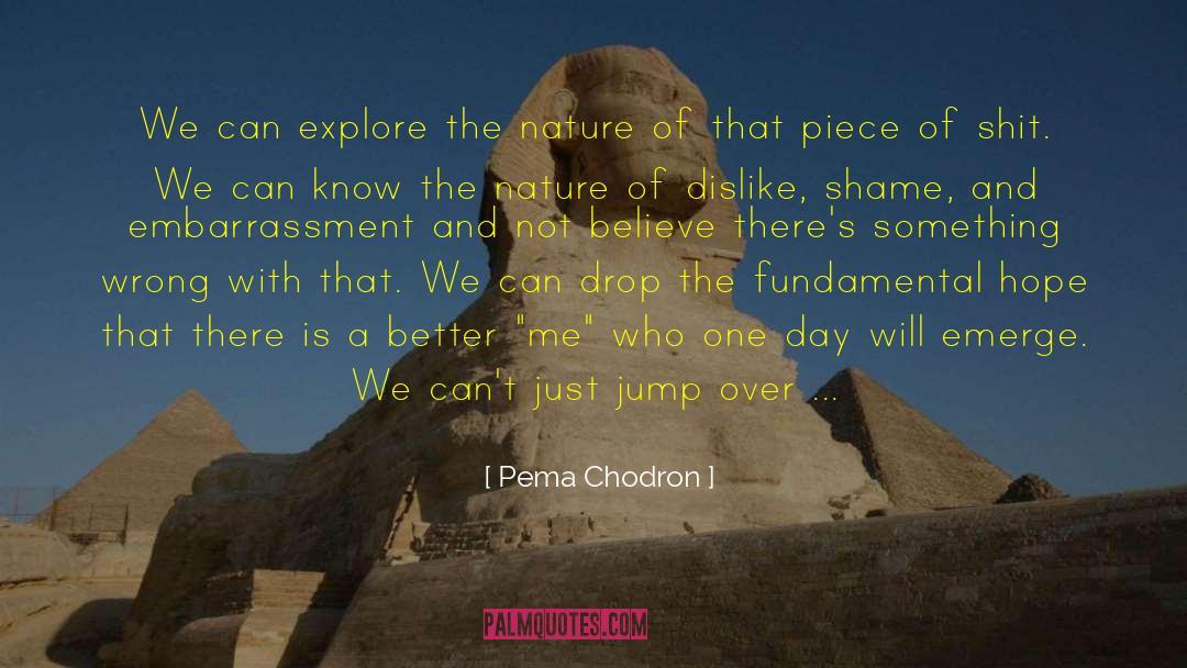 Not There quotes by Pema Chodron
