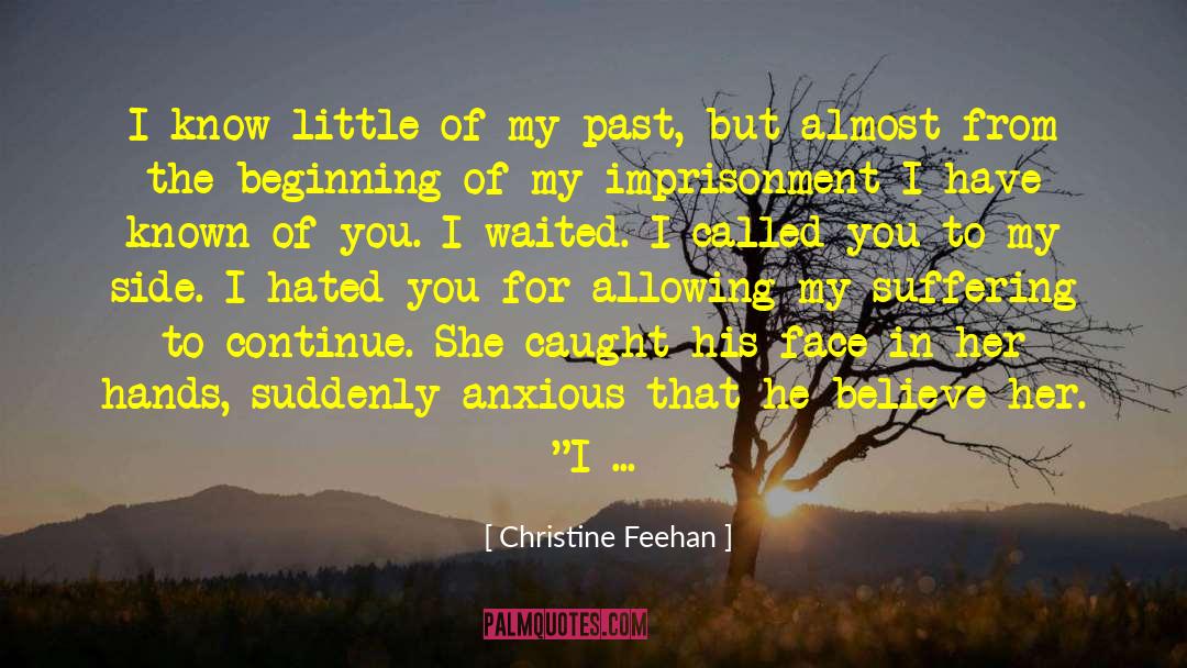 Not Thinking About The Past quotes by Christine Feehan
