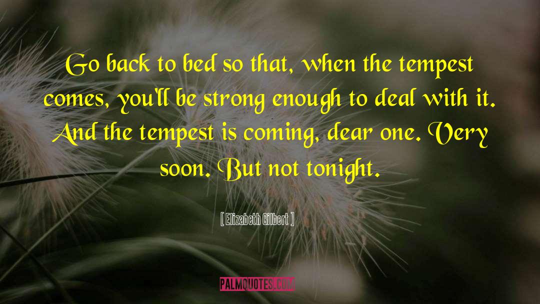 Not Tonight quotes by Elizabeth Gilbert