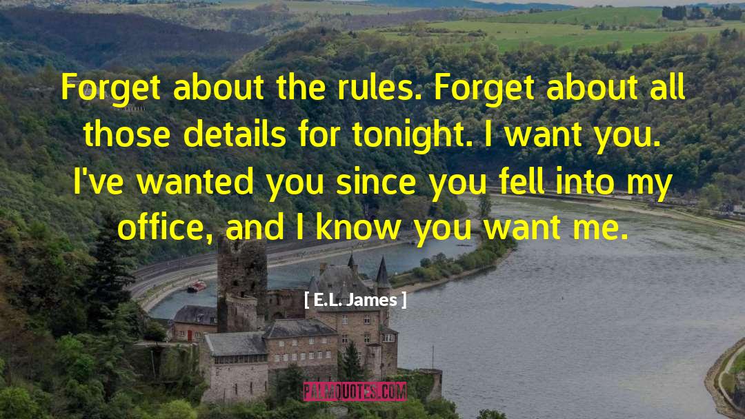 Not Tonight quotes by E.L. James