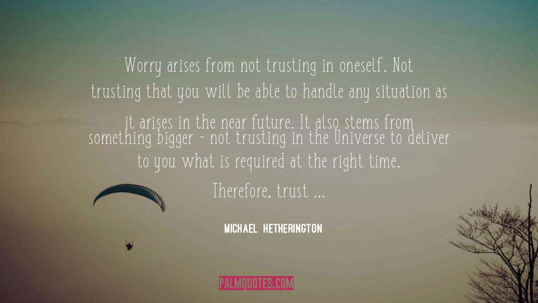 Not Trusting quotes by Michael  Hetherington