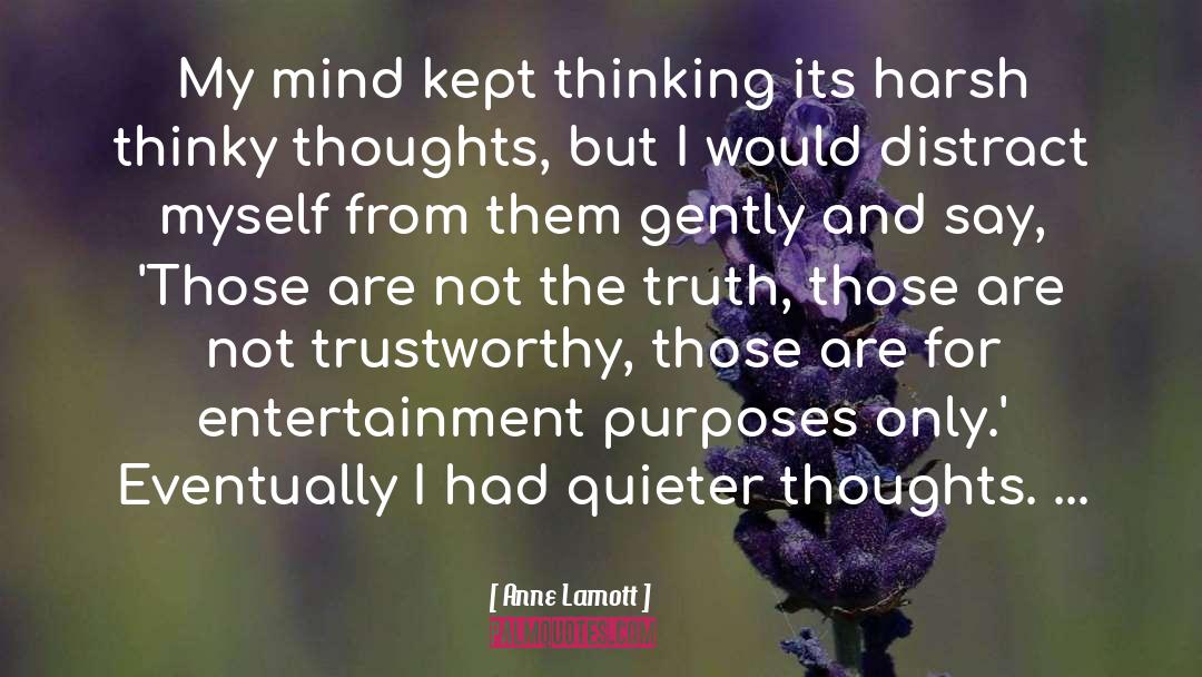 Not Trustworthy quotes by Anne Lamott