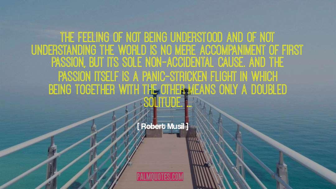 Not Understanding quotes by Robert Musil