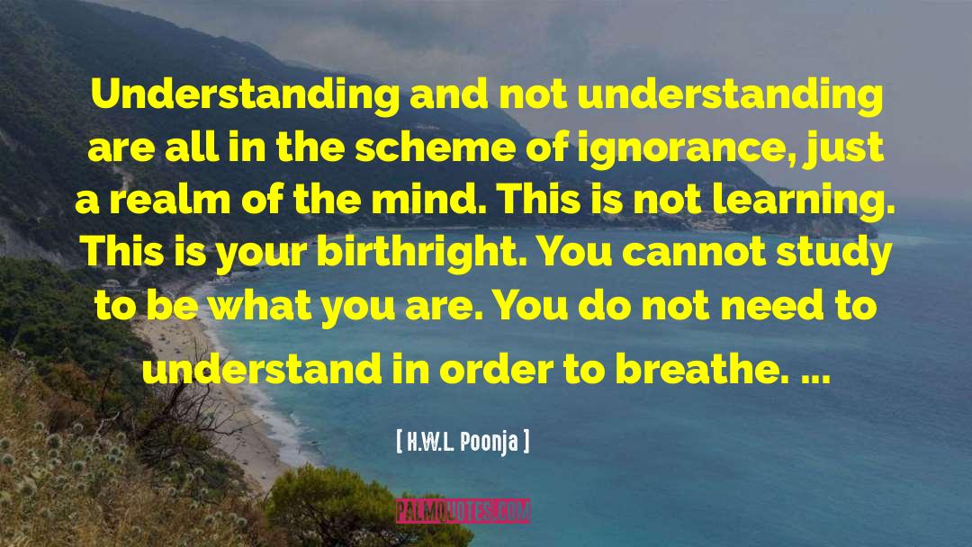 Not Understanding quotes by H.W.L. Poonja