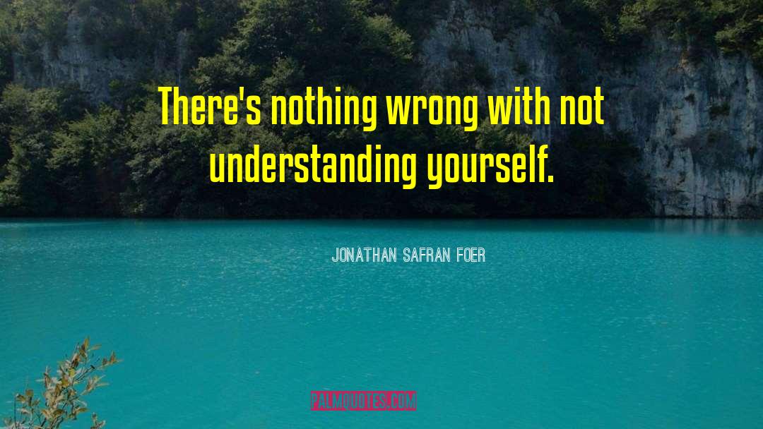 Not Understanding quotes by Jonathan Safran Foer
