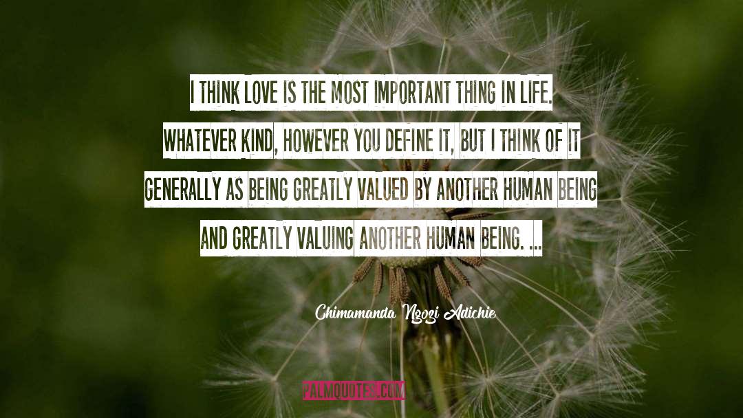 Not Valued quotes by Chimamanda Ngozi Adichie