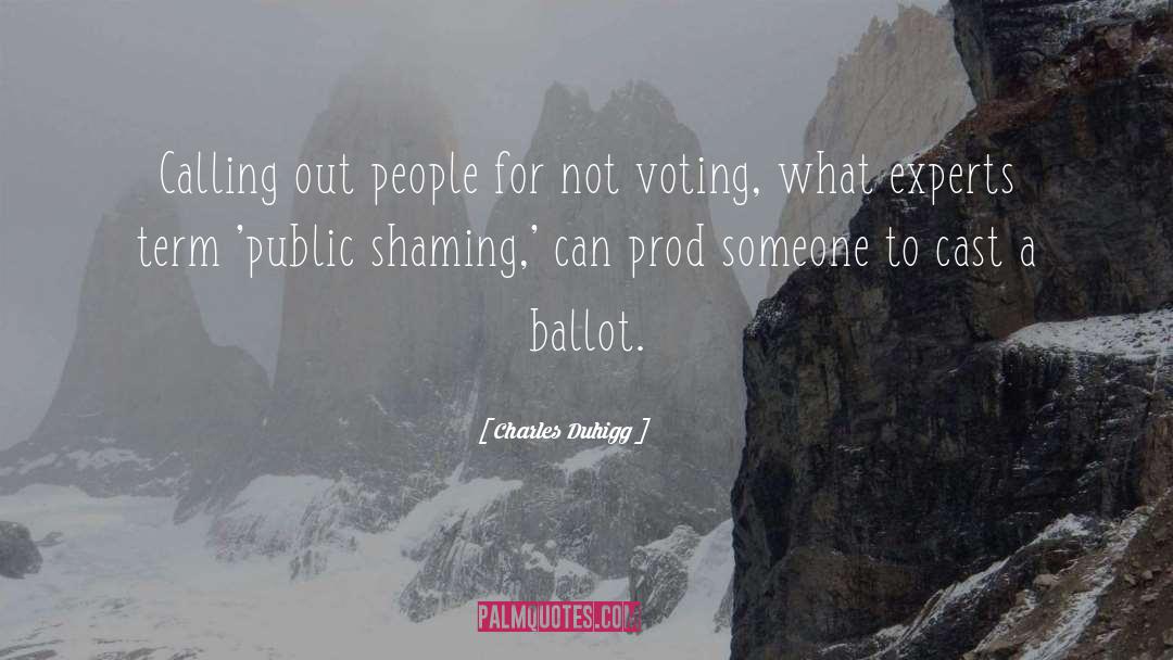 Not Voting quotes by Charles Duhigg