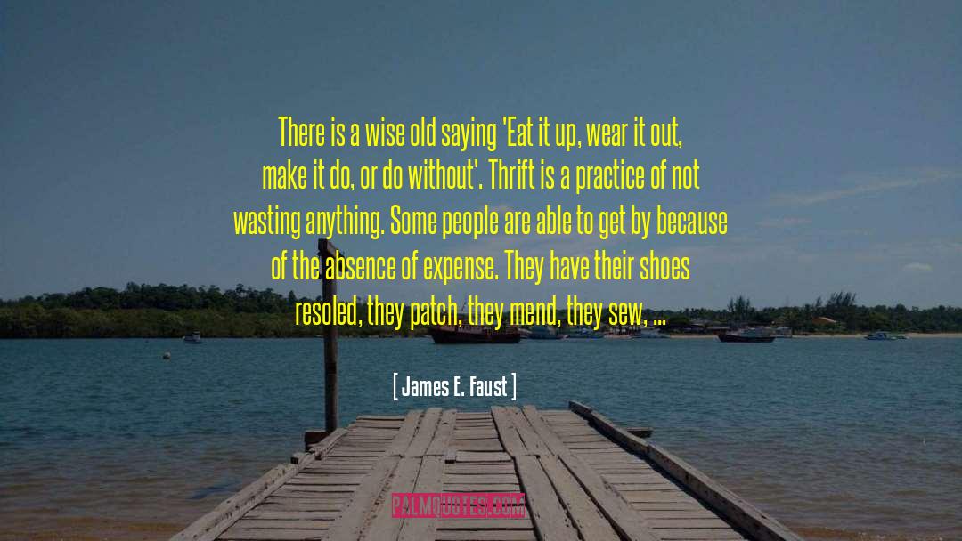 Not Wasting Time quotes by James E. Faust