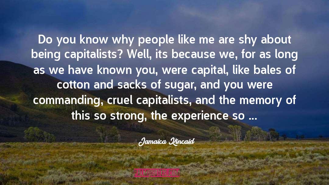 Not Well Known quotes by Jamaica Kincaid