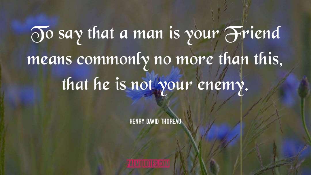 Not Your Sidekick quotes by Henry David Thoreau