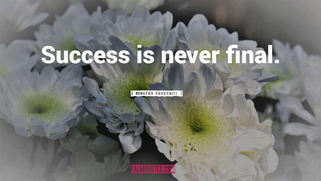 Notable Success quotes by Winston Churchill
