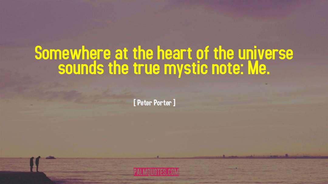 Notes From The Universe quotes by Peter Porter