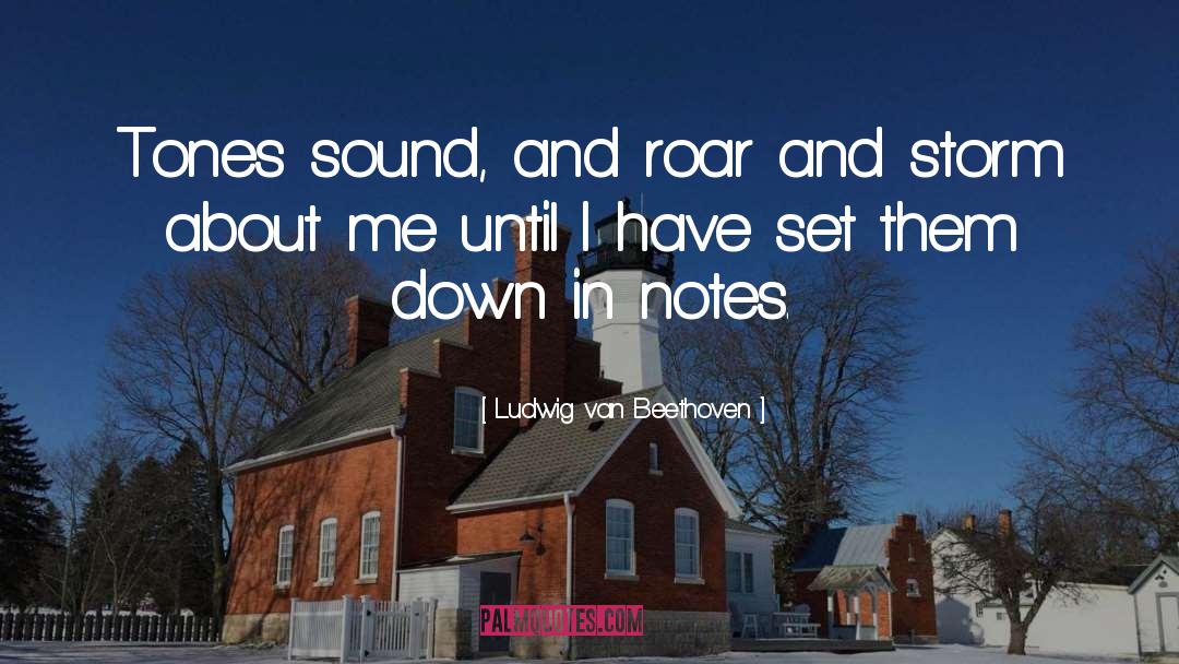 Notes Music quotes by Ludwig Van Beethoven