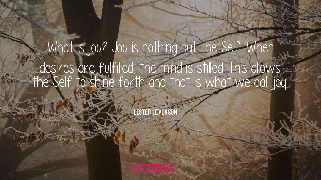 Nothing But Shadows quotes by Lester Levenson