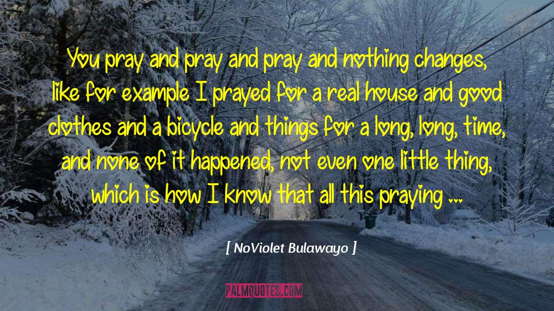 Nothing Changes quotes by NoViolet Bulawayo