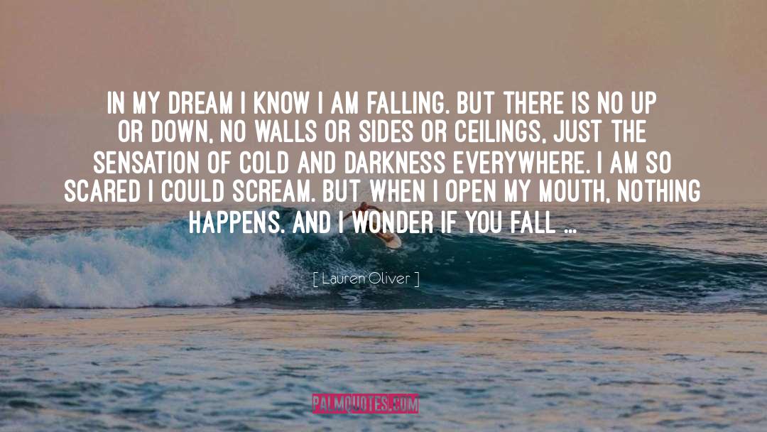 Nothing Happens quotes by Lauren Oliver