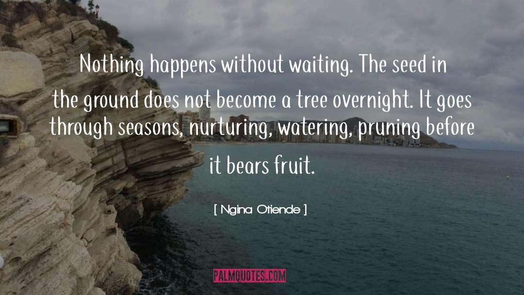 Nothing Happens quotes by Ngina Otiende