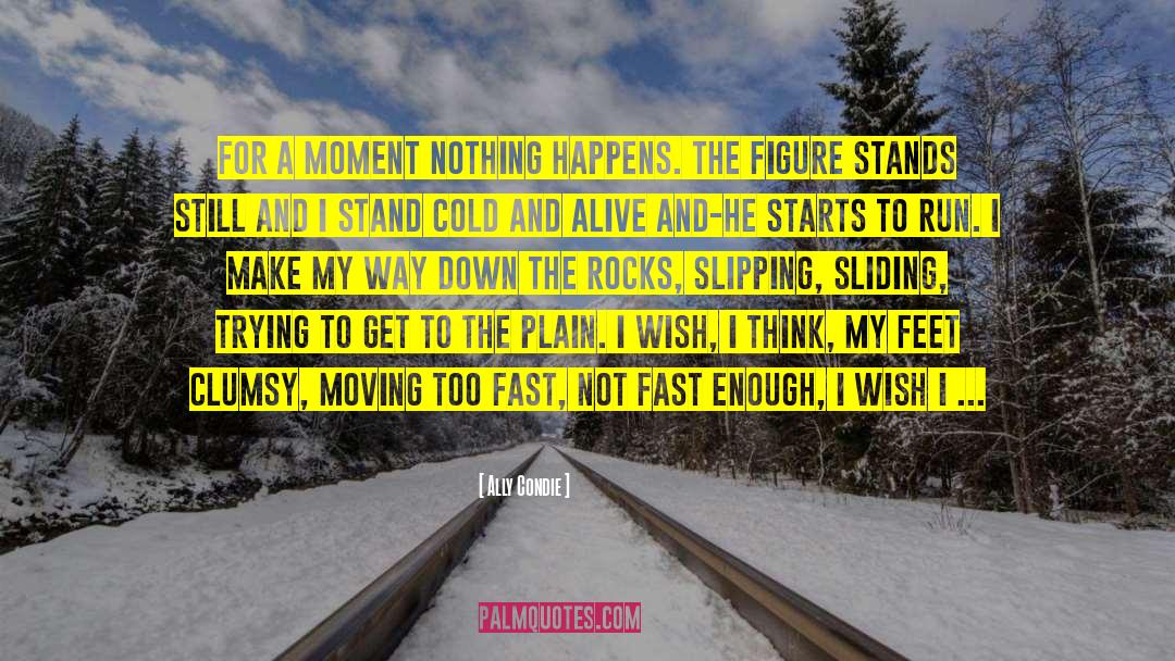 Nothing Happens quotes by Ally Condie