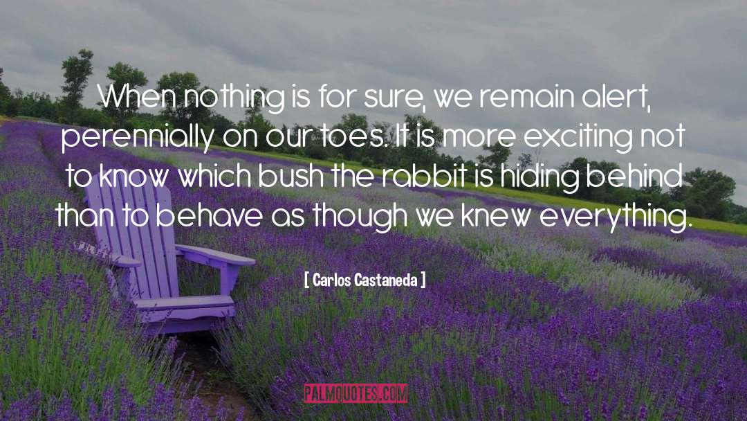 Nothing Is For Sure quotes by Carlos Castaneda